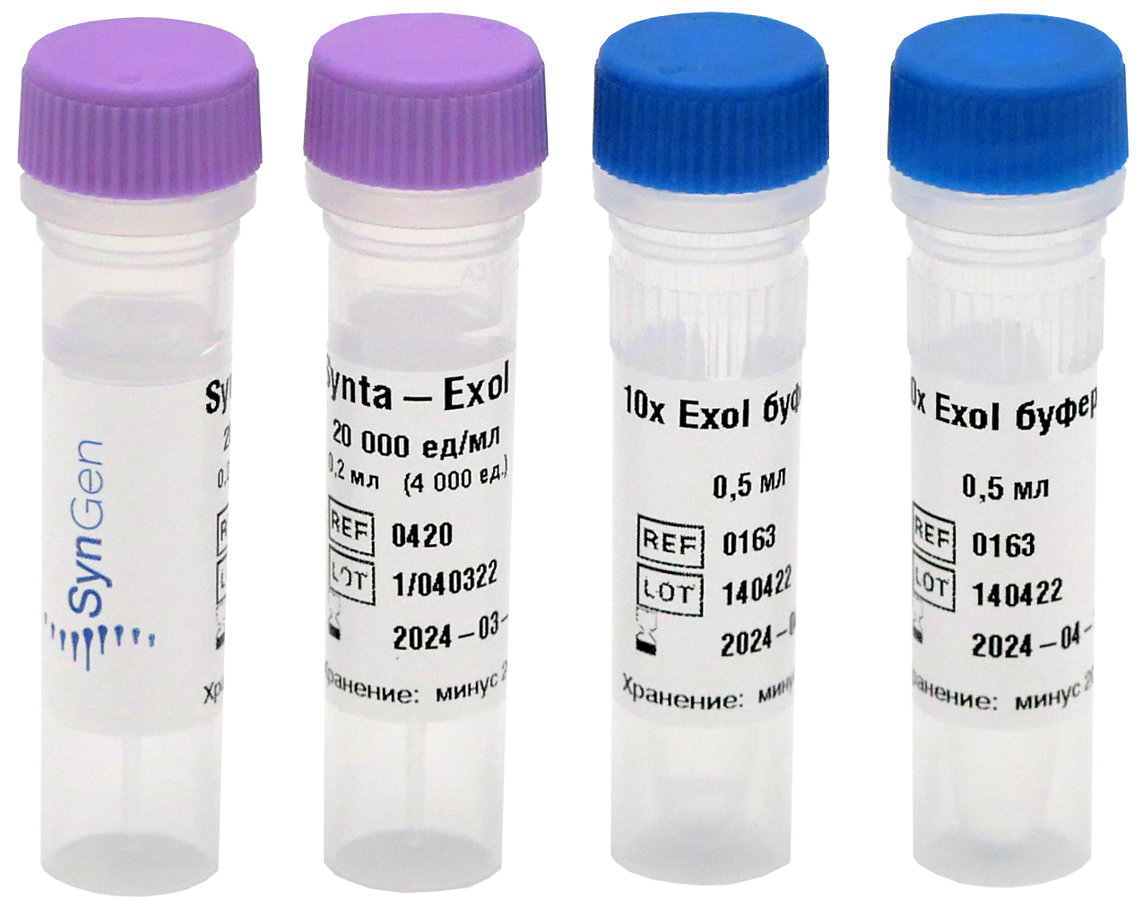 картинка Synta-Exo I экзонуклеаза I от магазина Одежда+